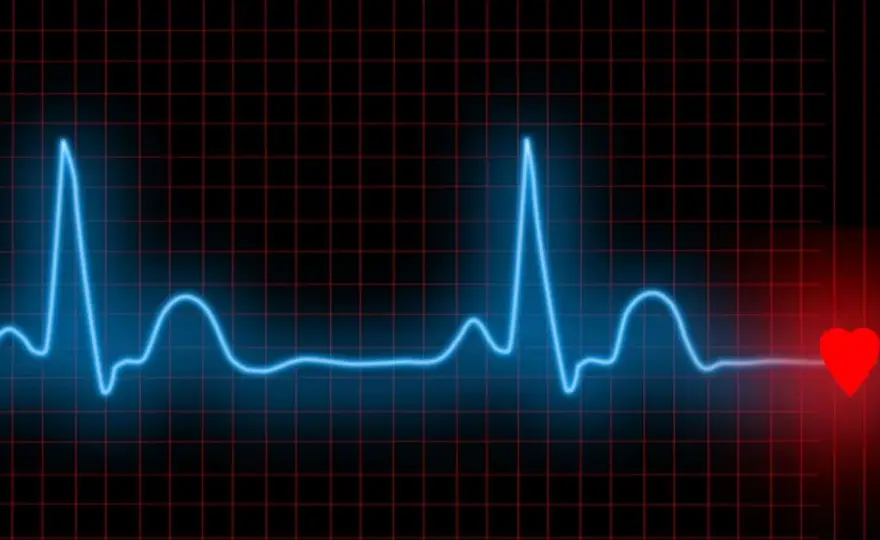 HRV - Jak czytać zmienność rytmu serca i poprawić regenerację?