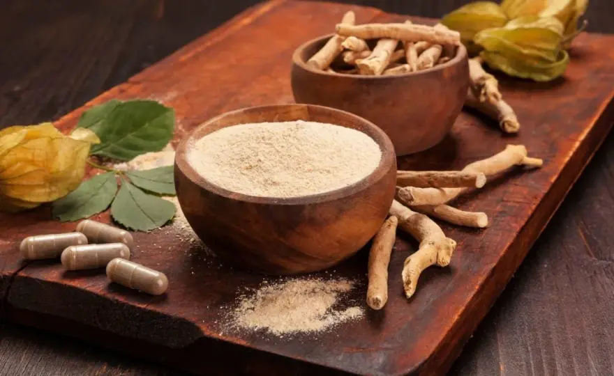 Ashwagandha - czy szkodzi? Kiedy uważać i jak stosować?