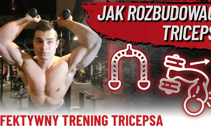 Triceps - Jak trenować każdą głowę? Plan dla domu i siłowni